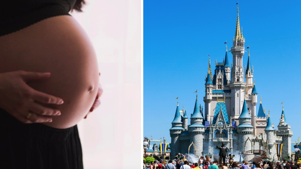 Gravida kvinnor vill föda barn på Disneyland och hoppas på fri entré livet ut i nöjesparken.